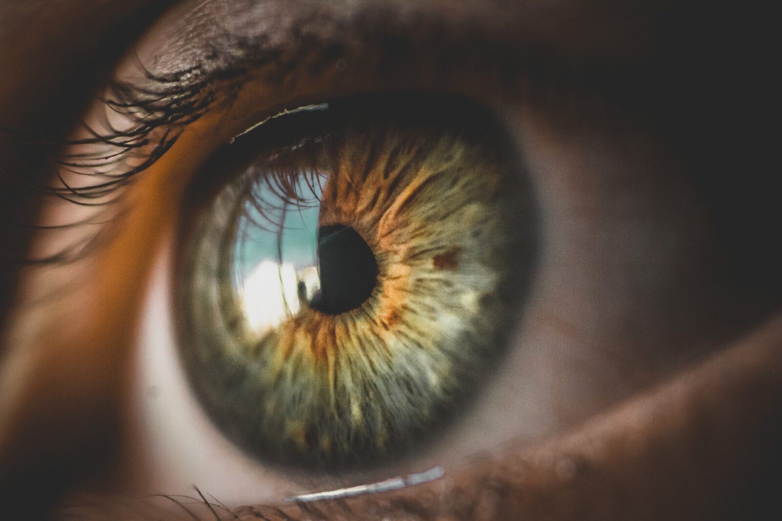 Vitale ogen, visuele stress en Osteopathie I’mPerfect
